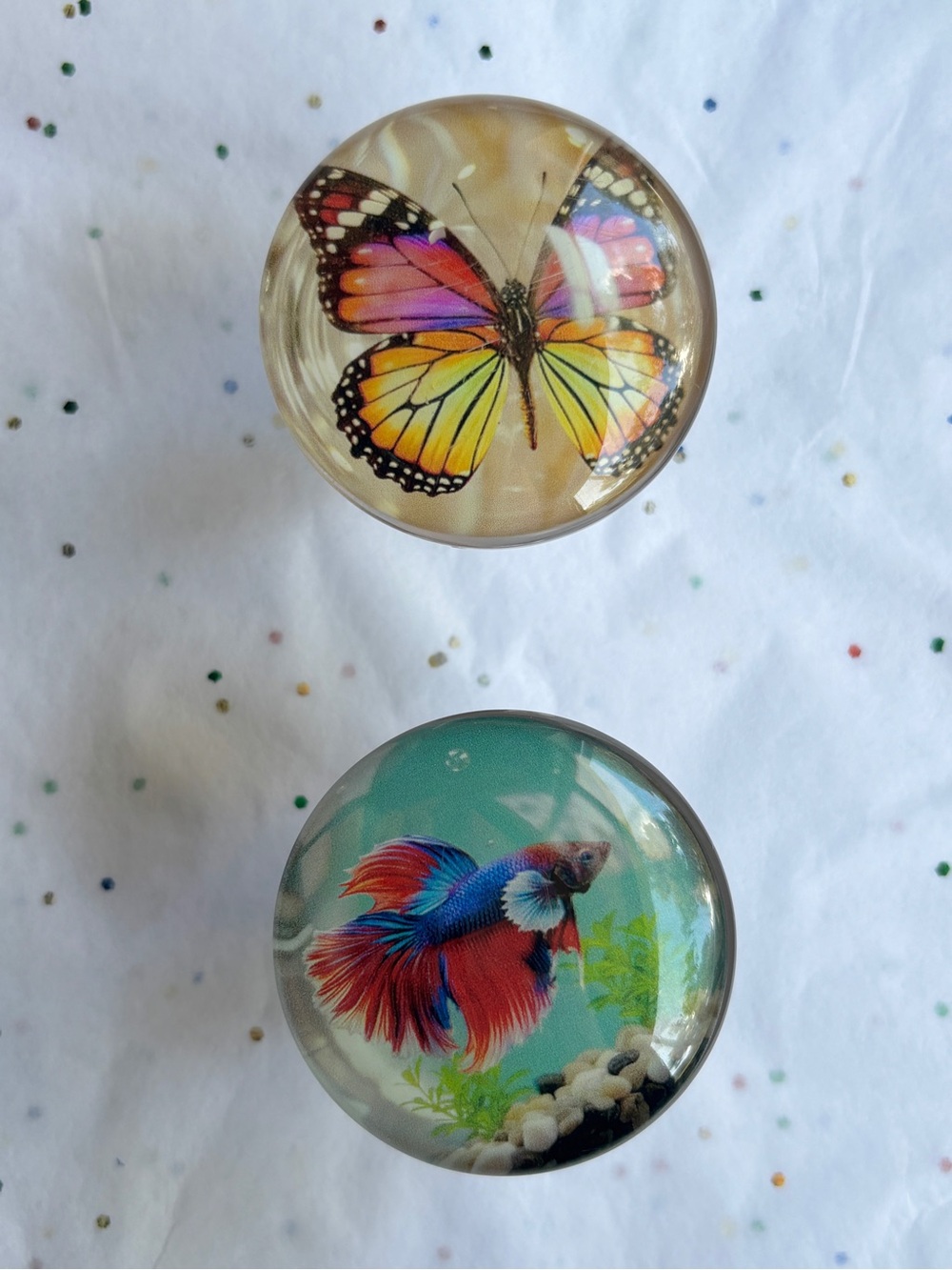 Set of 2 Decorative Glass Knobs/Pulls Butterfly & Betta Fish - Multicolor